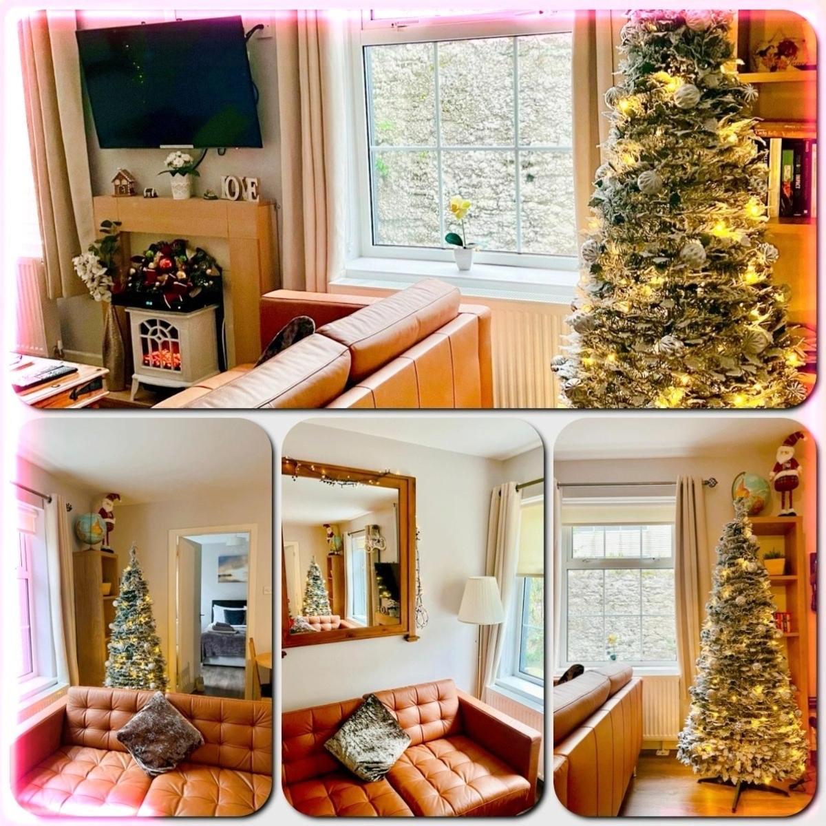 Trinity Apartments Four 1-Bedroom Apts Waterford City Centre エクステリア 写真