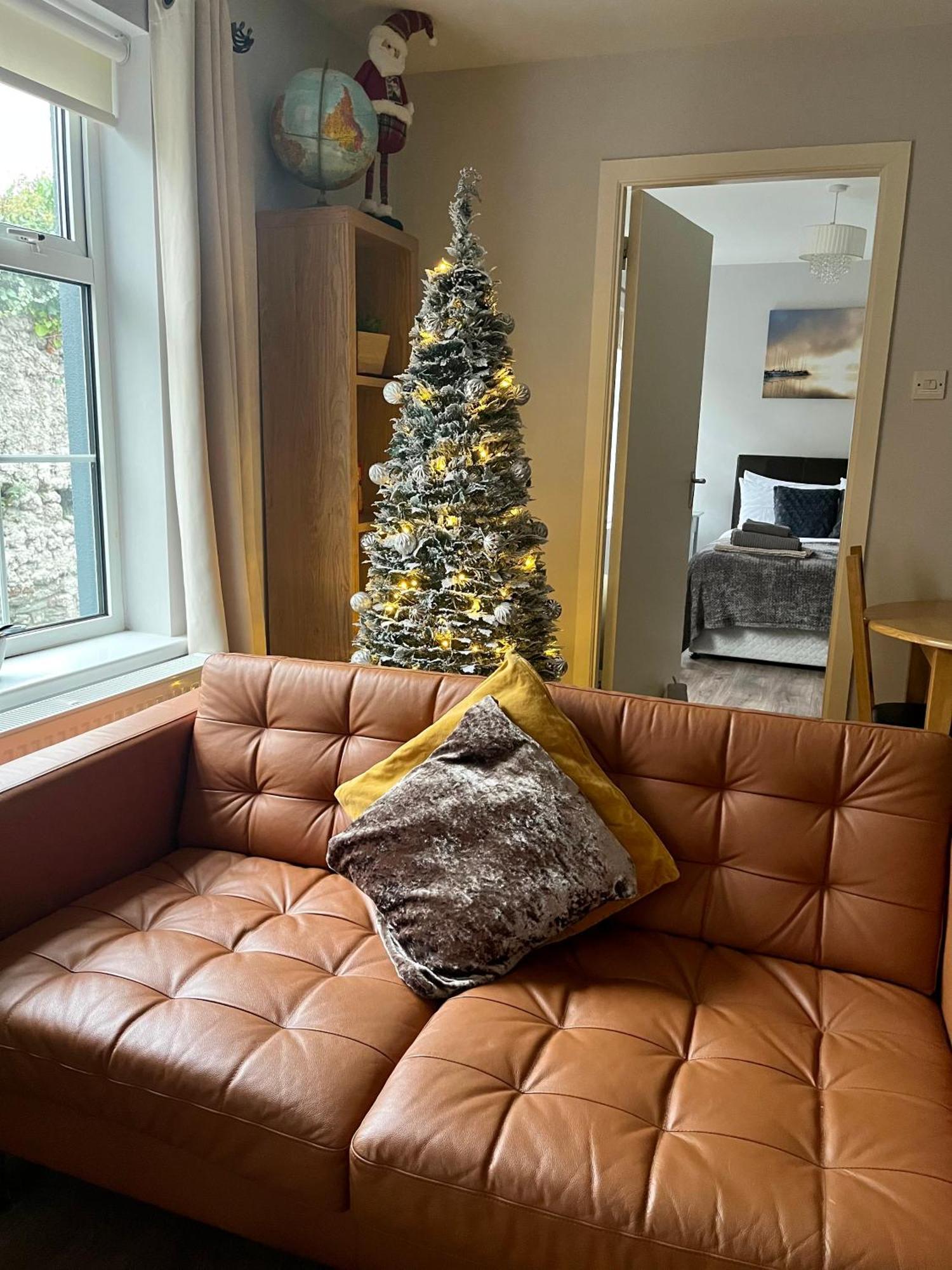 Trinity Apartments Four 1-Bedroom Apts Waterford City Centre エクステリア 写真